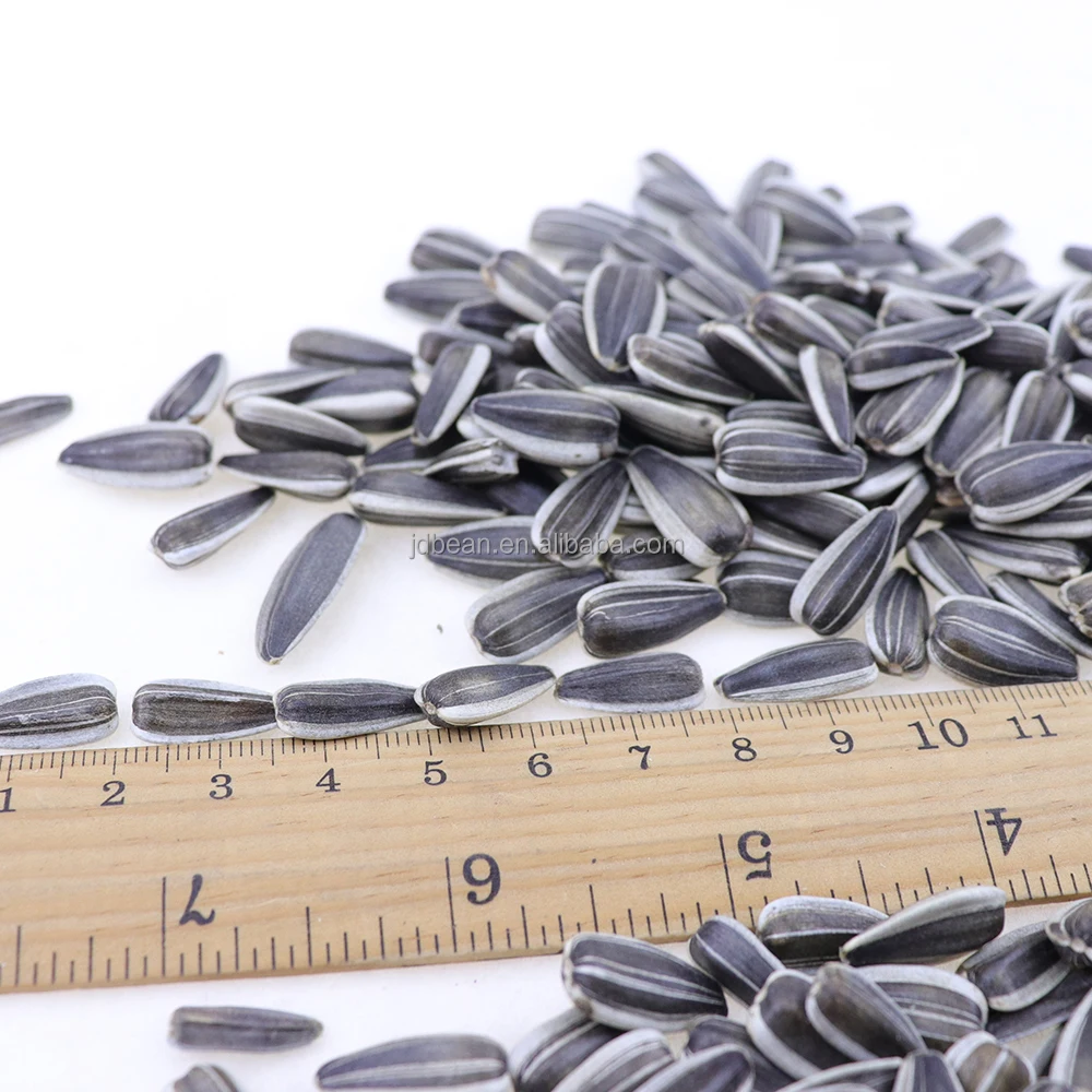 Chinese Bulk Sunflower Seeds Type 190-200 Sunflower Seed Market Price