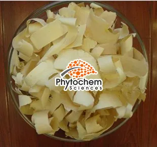 
China Supplier Supply best selling Eurycoma Longifolia Jack Root 100 to 1 Tongkat Ali Extract 