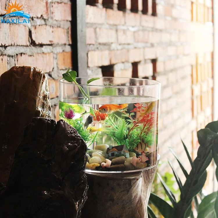 
NAXIALI Acrylic Fish Tank Manifature Small Desktop Zebra Fish Acrylic Low Price Cylinder Aquarium Of Acrylic Fish Tank 