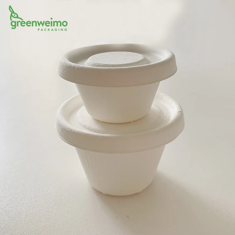 Disposable bagasse sugarcane pulp cup lid sugar cane bagasse ice cream cups and lids