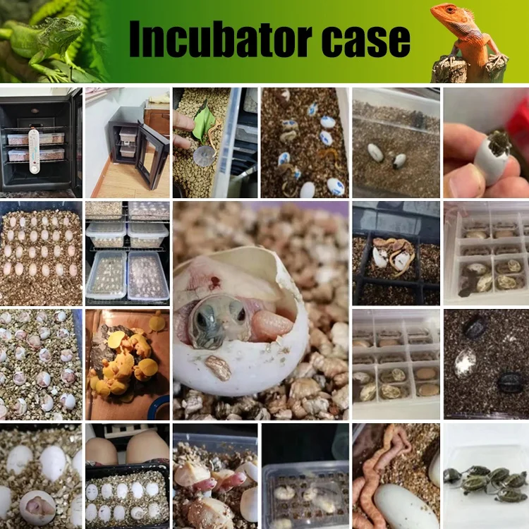 Reptile Egg Incubators Hatching Machine Quail Bird 16L 23L 33L 48L 78L