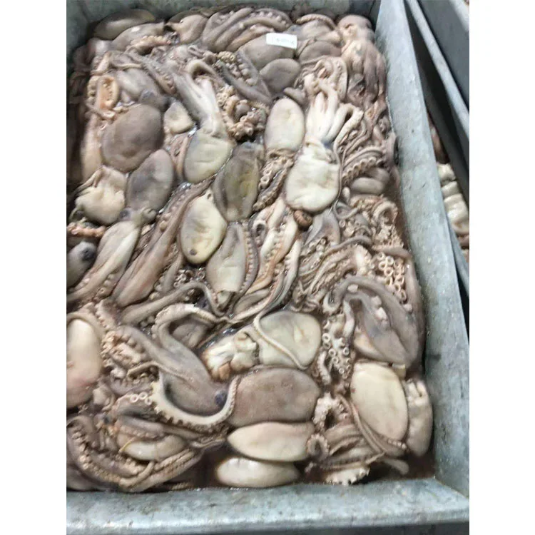Hot Sale Attractive Price High Quality Big Frozen Octopus