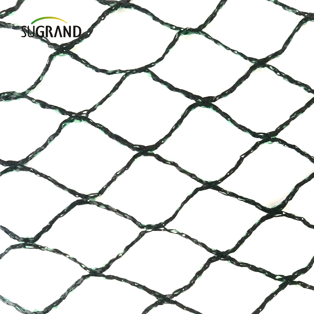 agricultural live bird traps nets for catching birds