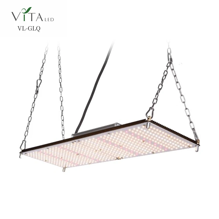 Factory Hot Sales Modern Design High Power Samsung Chips Lm301b Quantum Led Grow Light No Noise Hemp Led Board Grow Light