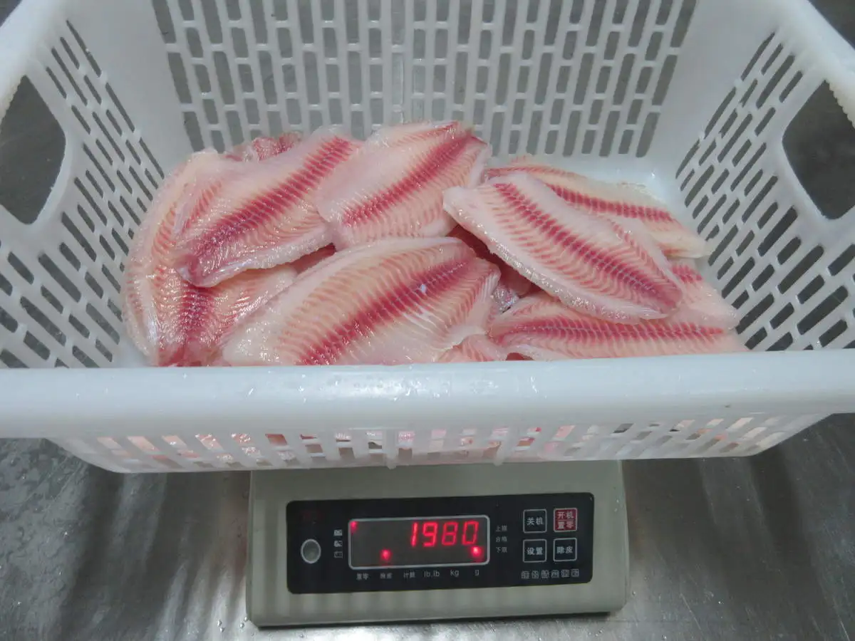 Китайская свежая филе тилапии цена на рыбу Haccp замороженные морские продукты лучшая продажа обработанная глубокой кожей поставщик новое