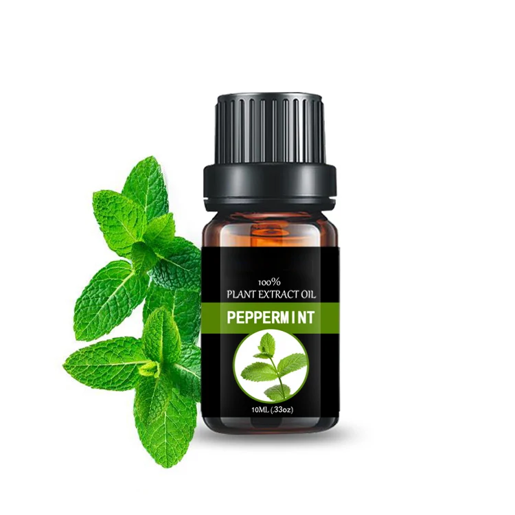 Perfume Oil Cosmetics Base Peppermint From Plant Extract