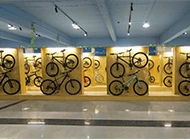 bicycle electric adult