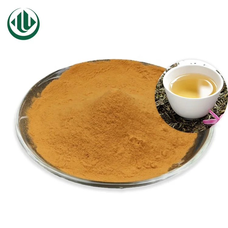 Halal Water Soluble Green Tea Extract 14% Caffeine EGCG Polyphenols Green Tea Extract L-theanine Powder