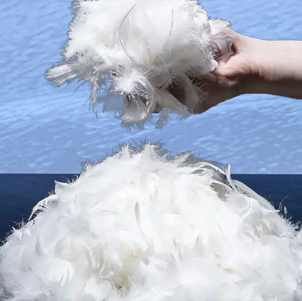 Reliable source manufacturers supply wholesale washed 90 white duck feather: no odor, large pure white