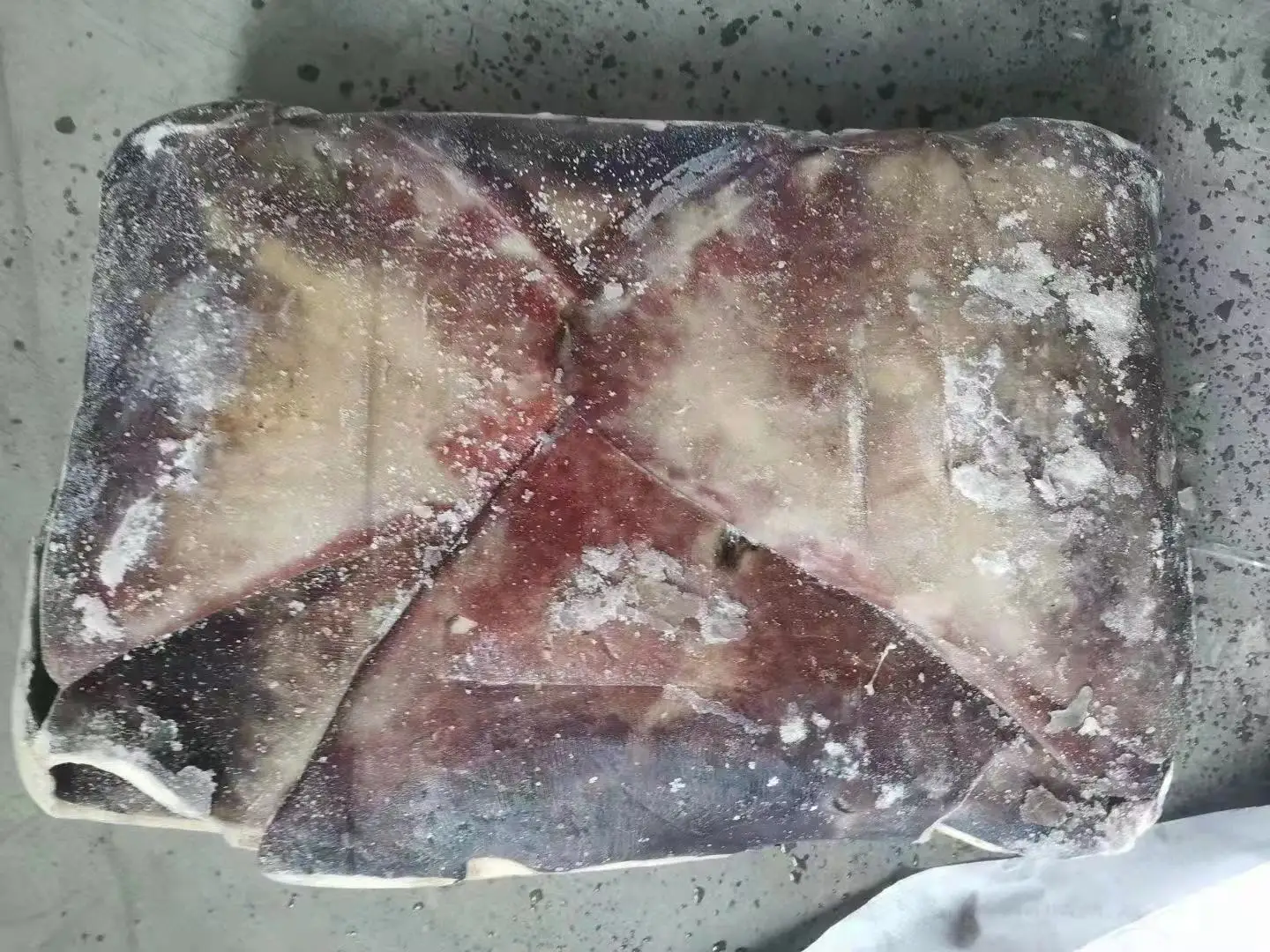 frozen giant seafood squid half cut wings  sale 500g+