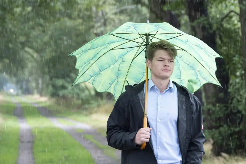 Sunday Straight Umbrella Banana Leaves Wholesale New Umbrella For The Rain Custom Modern Rain Umbrella