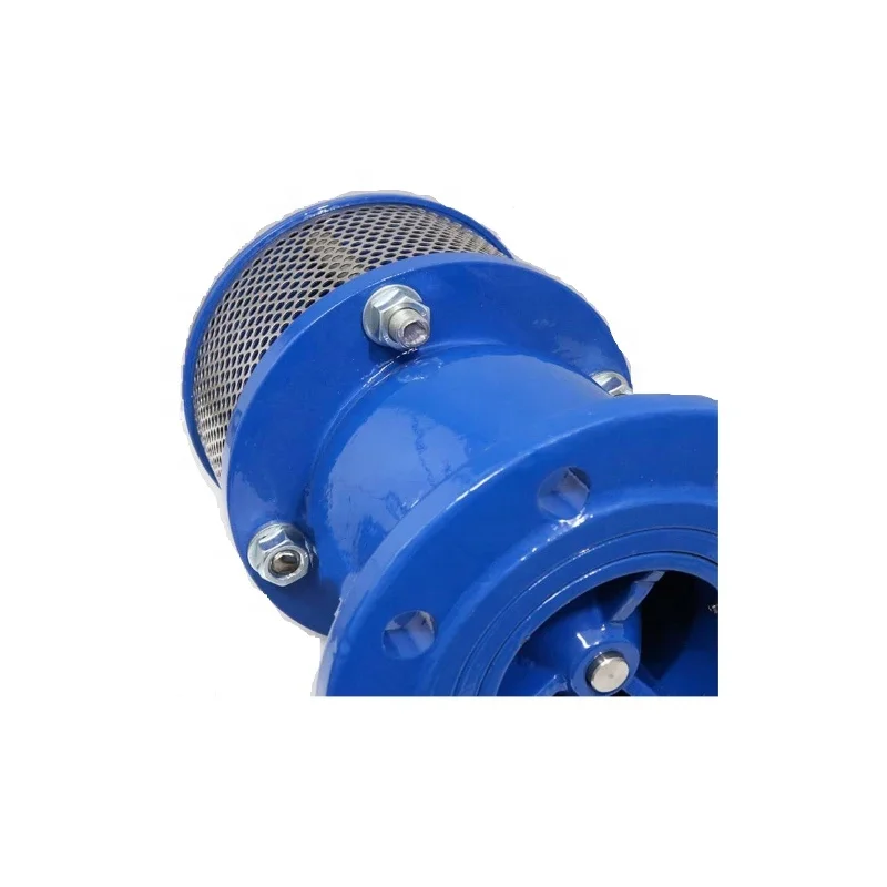 Ductile Iron Foot Valve with Stainless Steel Strainer