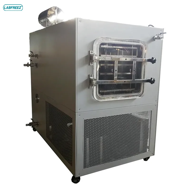LABFREEZ 20kg Pilot Food Fruit Lyophilizer Vacuum Freeze Dryer