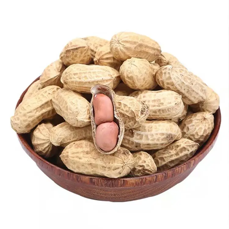 Hot Selling Good Taste Healthy Raw In Shell Peanut Peanuts
