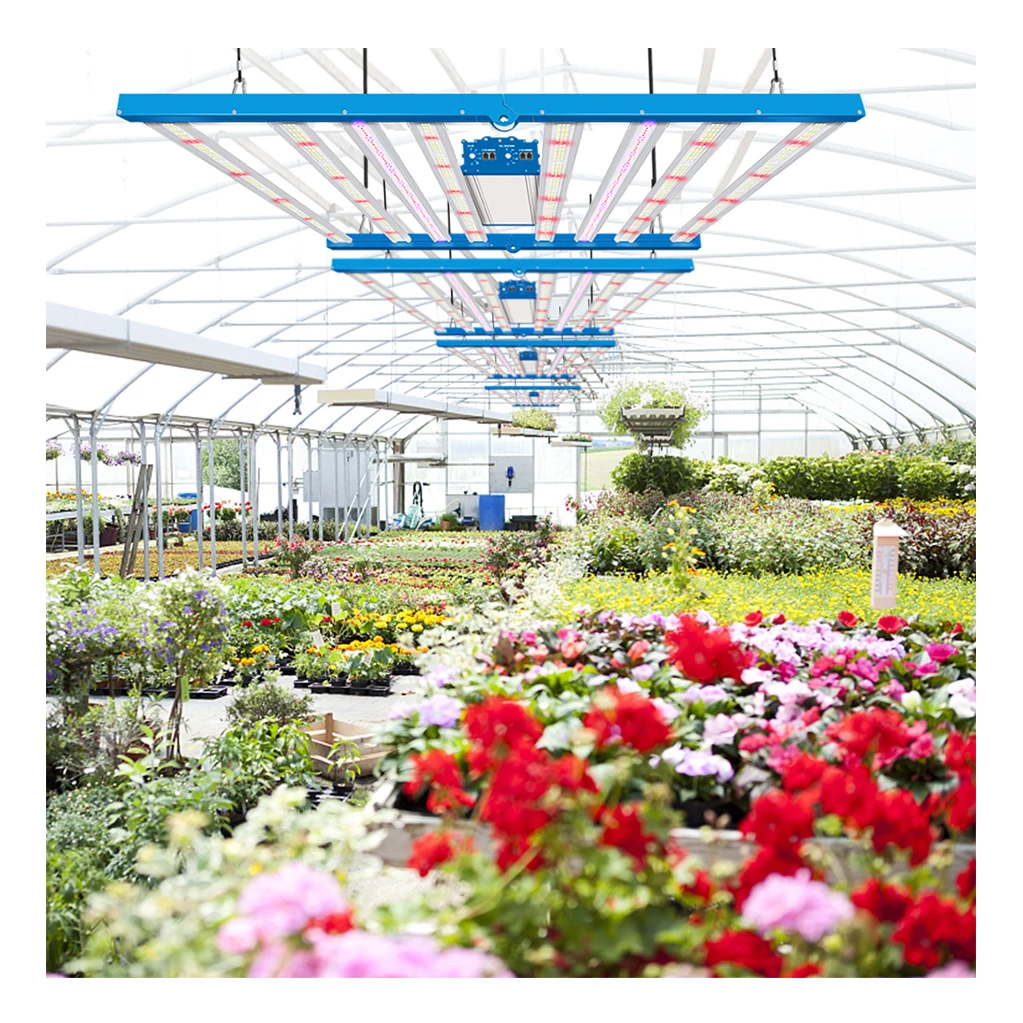 High Quality Grow Light With Driver Full Spectrum IP65 Waterproof LED Grow Light For Indoor Plants Hydroponic From China Factory