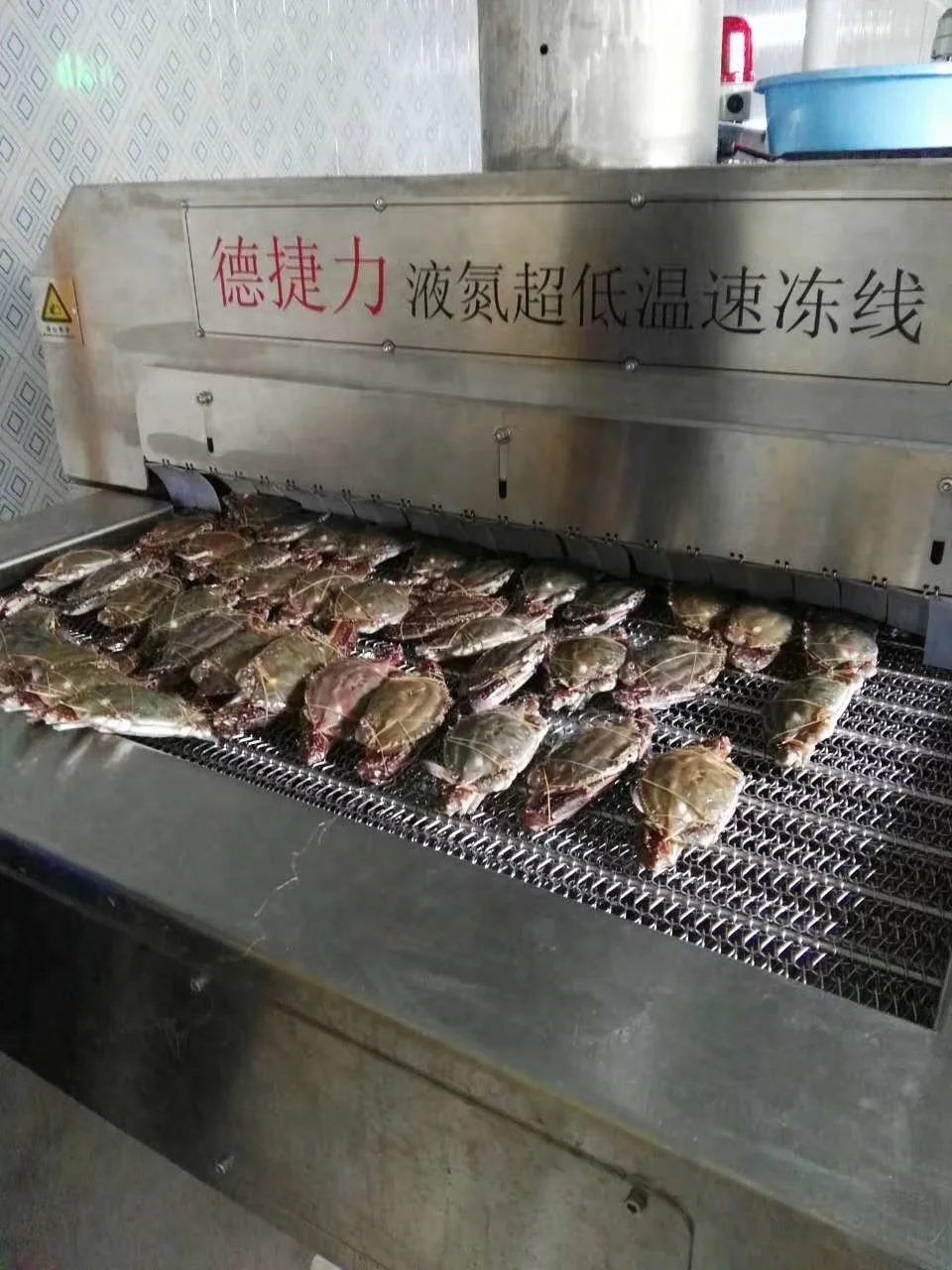 DJL seafood liquid nitrogen machine iqf quick freezing freezer