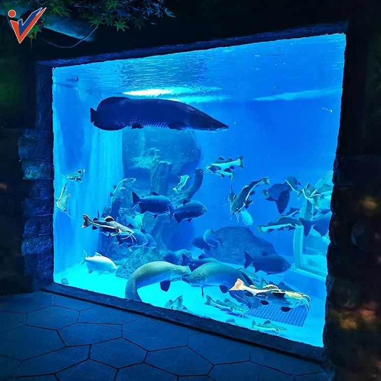 Leyu Hot SaleFactory Customized Aquariums Acrylic Fish Tank  Large