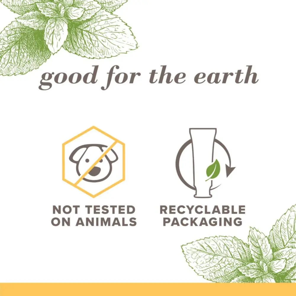 Excellent Quality Removes Stains Deep Cleans Mint Whitening Eco-Friendly Fluoride Free Toothpaste