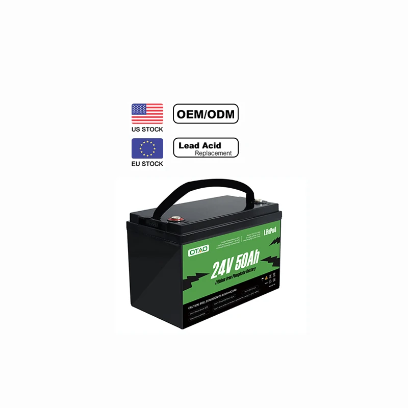 Lithium Ion Lifepo4 Battery Pack 24V 12V 50ah 100ah 200ah Bateria De Litio Litium Iron Phosphate Solar Energy Storage Batteries