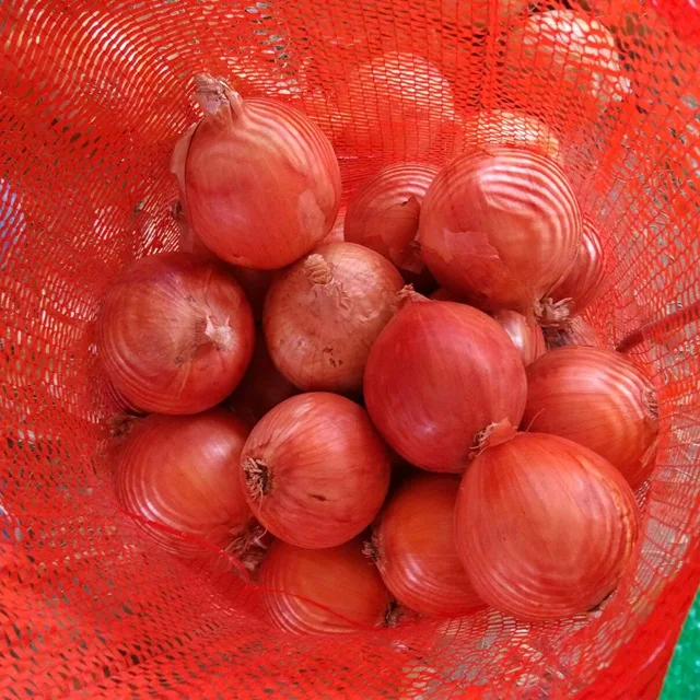 Fresh vegetables Holland onions from China  fresh exporters in Mesh Bags