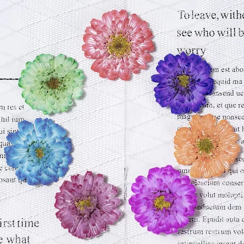 MNR2134 dyed dried Chamomile flower for DIY flower ornament handcraft