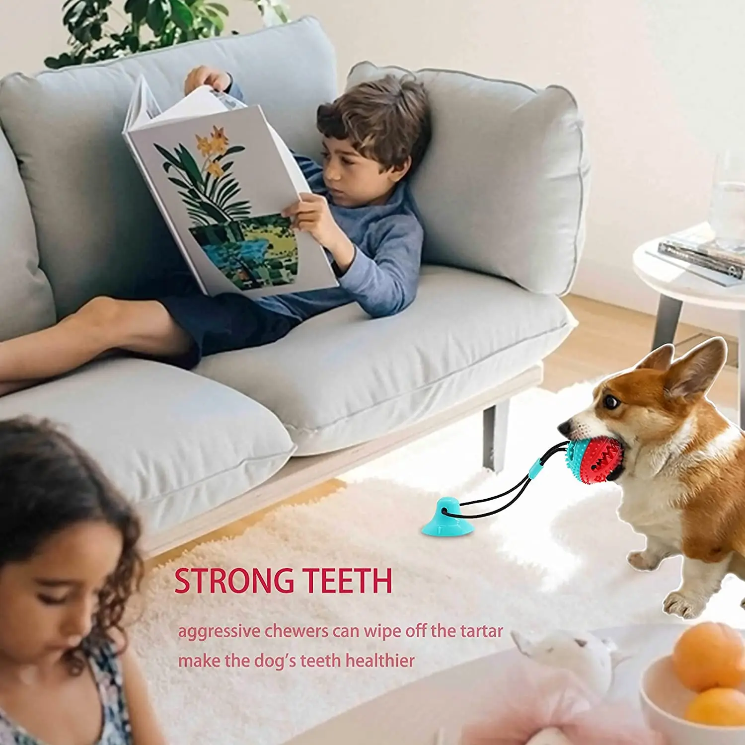 SJZ Free Samples Private Label Strong Durable Interactive Puzzle Game Enrichment Suction Cup Tug Sustainable Chew Dog Toys