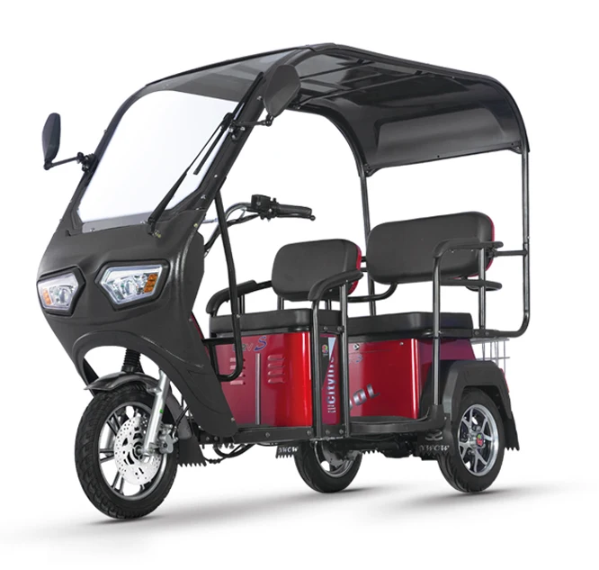 2024 New Electric Trike 650W Family Vintage Cargo Electric Tricycle 3 Wheel Electric Bike with roof