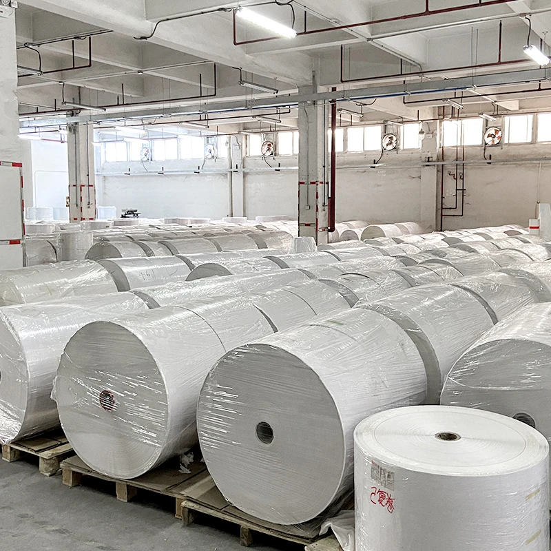 Manufacturer Self Adhesive Label Paper Jumbo Roll  Label Direct Thermal Sticker Paper Label In China