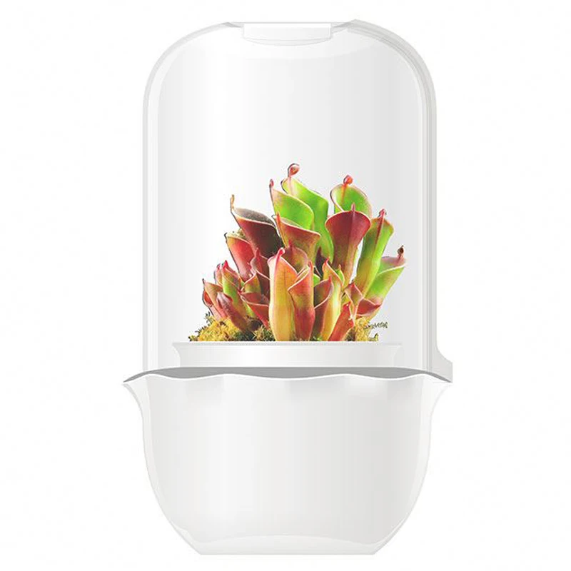 RY  2021 hot sale garden smart flower pot silicone mold fan home garden hydroponics plant growing succulent planting pot