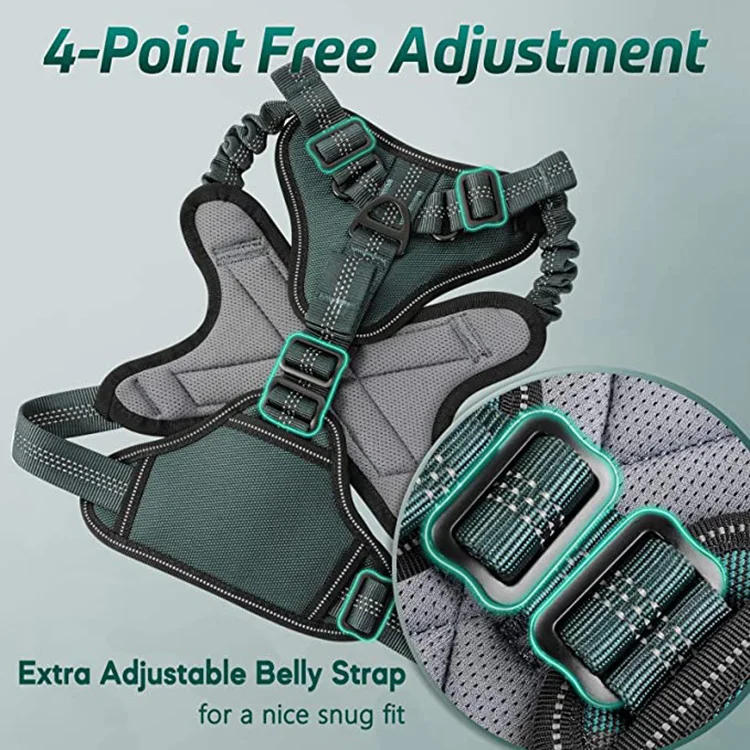 Adjustable Dog Walking Harness with 2 Metal Clips & Shock-Absorbing Bungee Straps