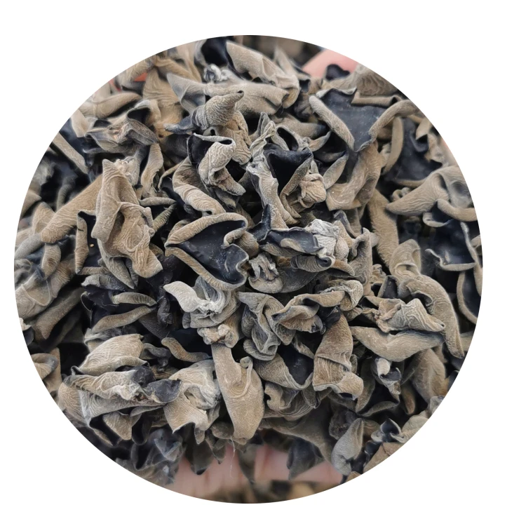 
Natural Product Black Edible Fine Cut Dried Black Fungus Mushroom for Cooking Dried Shiitake Mushroom Grown on Basswood  (1600285212223)