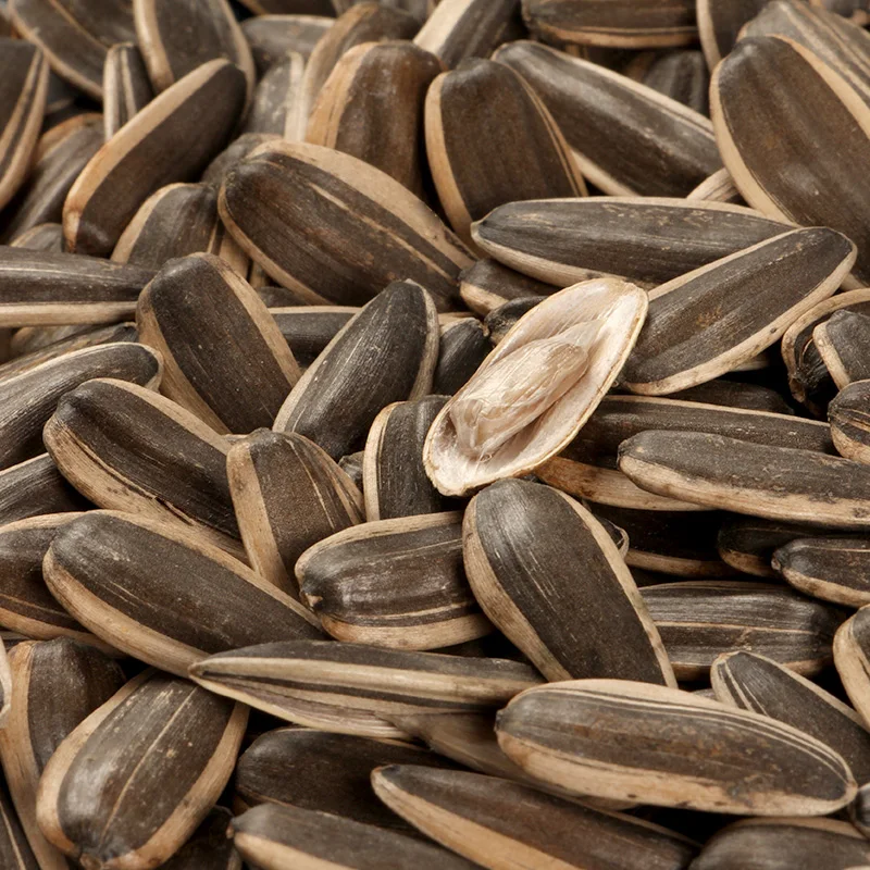 Любимая закуска сушеные фрукты здоровые семена дыни подсолнечника