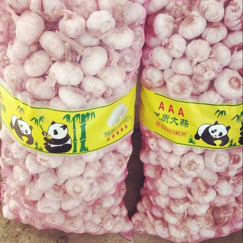 Wholesale food grade China garlic price to europe