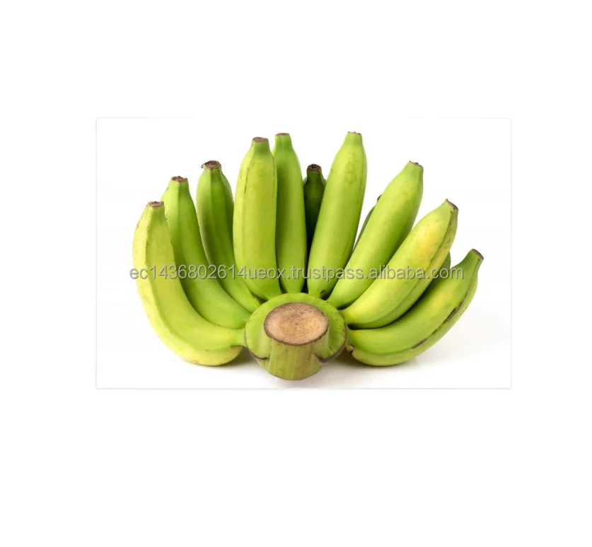
Packing Boxes New Price 2021 Fresh Cavendish Banana a hot seller of delicious fresh fruit 