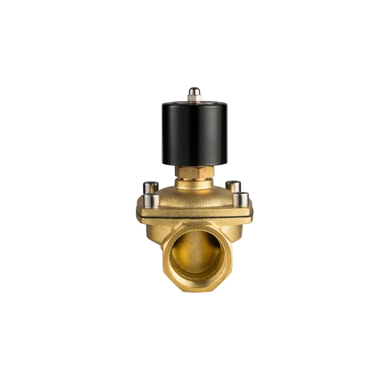 2 Inch 1 inch 12V DC 2W Brass solenoid valve normally open SS304 SS316 Submersible Solenoid Valve
