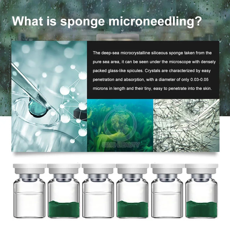 Sponge Spicule Bio-microneedling Anti Aging Sponge Female Seaweed Moisturiizng Face Skin Care Set 3 Years Female Peeling