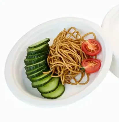 Heavy-Duty Disposable Paper Plates Factory Price Food Container Biodegradable Sugarcane Bagasse Plates