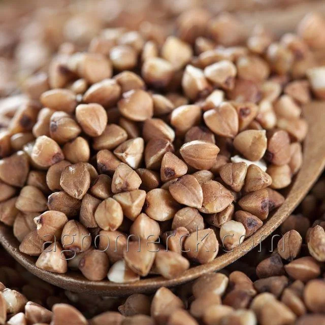 Высокое качество оптовой гречихи корпуса для шеи ролл Подушка шейного позвонка поддержка с легким весом