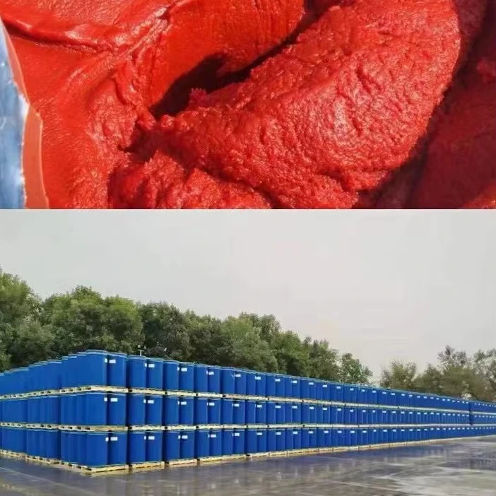 Bulk 245 kg per barrel Tomato Sauce In Drum Brix 36%-38% Production Of High Quality Natural 220l Vats Of Tomato Paste