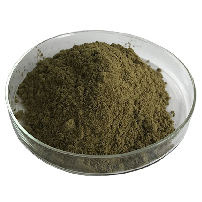 good price Banaba LEAF  extract corosolic acid 1% 2% 3% 10%-60%