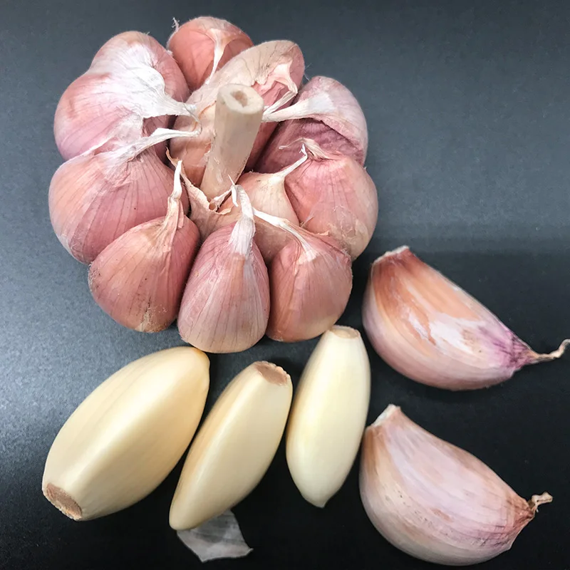 
Garlic fresh garlic supplier wholesale price normal white organic raw fresh garlic 