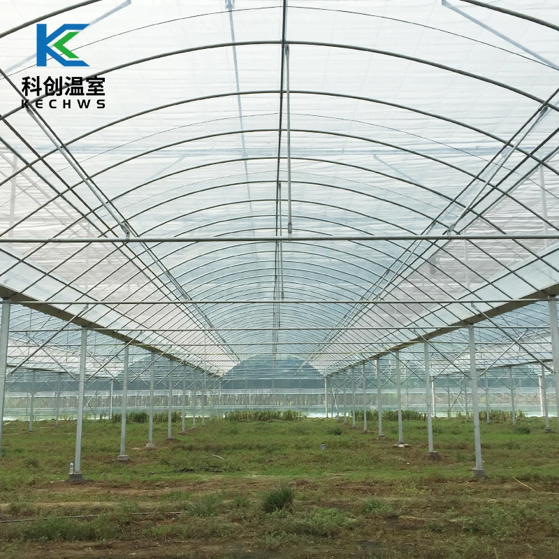 
2021 Hot Selling Farming Vegetables Multi-Span Film Commercial Green House 