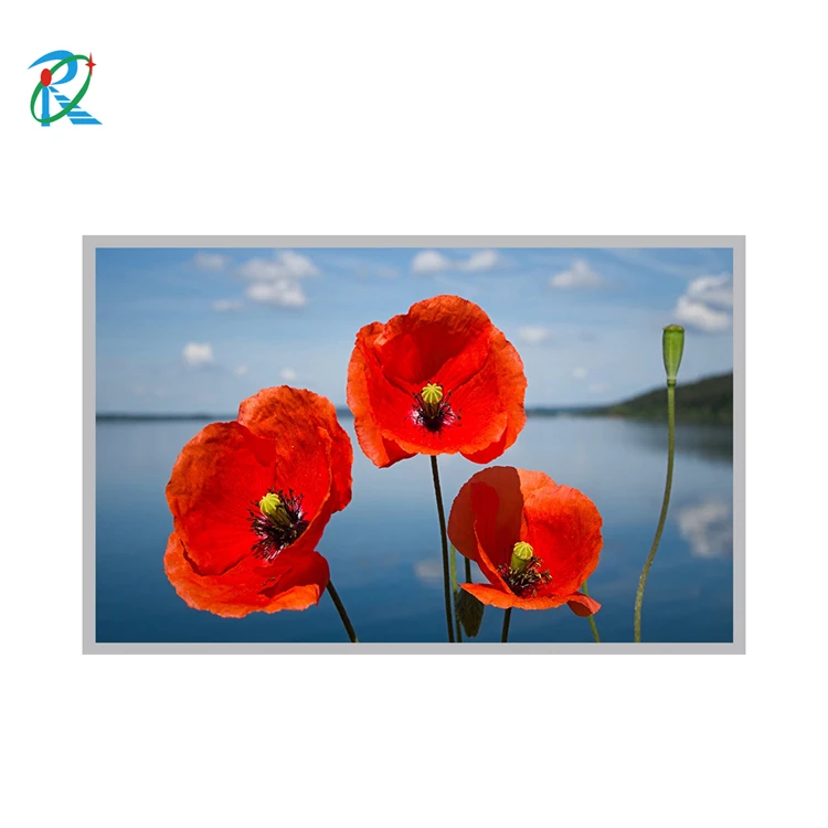 17.3 inch 1000nits portable lcd screen available with auto-brightness sensor
