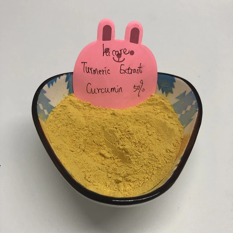 Wholesale top Grade hot selling 95% Curcuma Health food turmeric extract