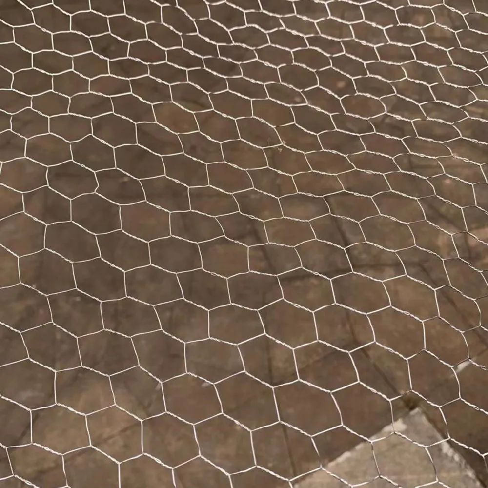 1/2' hole size chicken wire netting / heavy galvanized fish trap hexagonal wire mesh