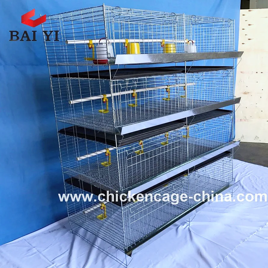Poultry Chick Birds Baby Cage Chicken