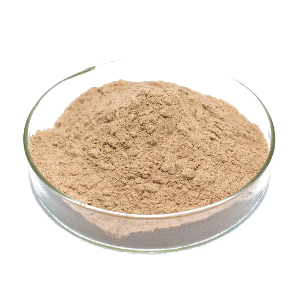 Fruiterco Supply 1.0*10^11cfu/g Bacillus Subtilis Powder Bacillus Subtilis Probiotics