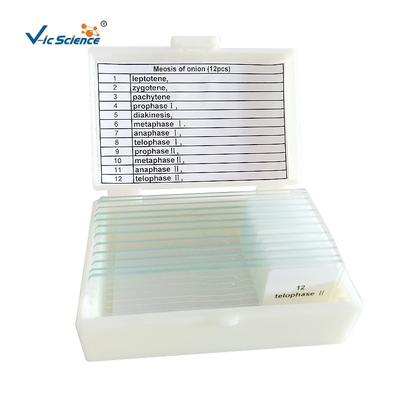 Stained and clear botany plant disease prepared slides microscope slides for medical science