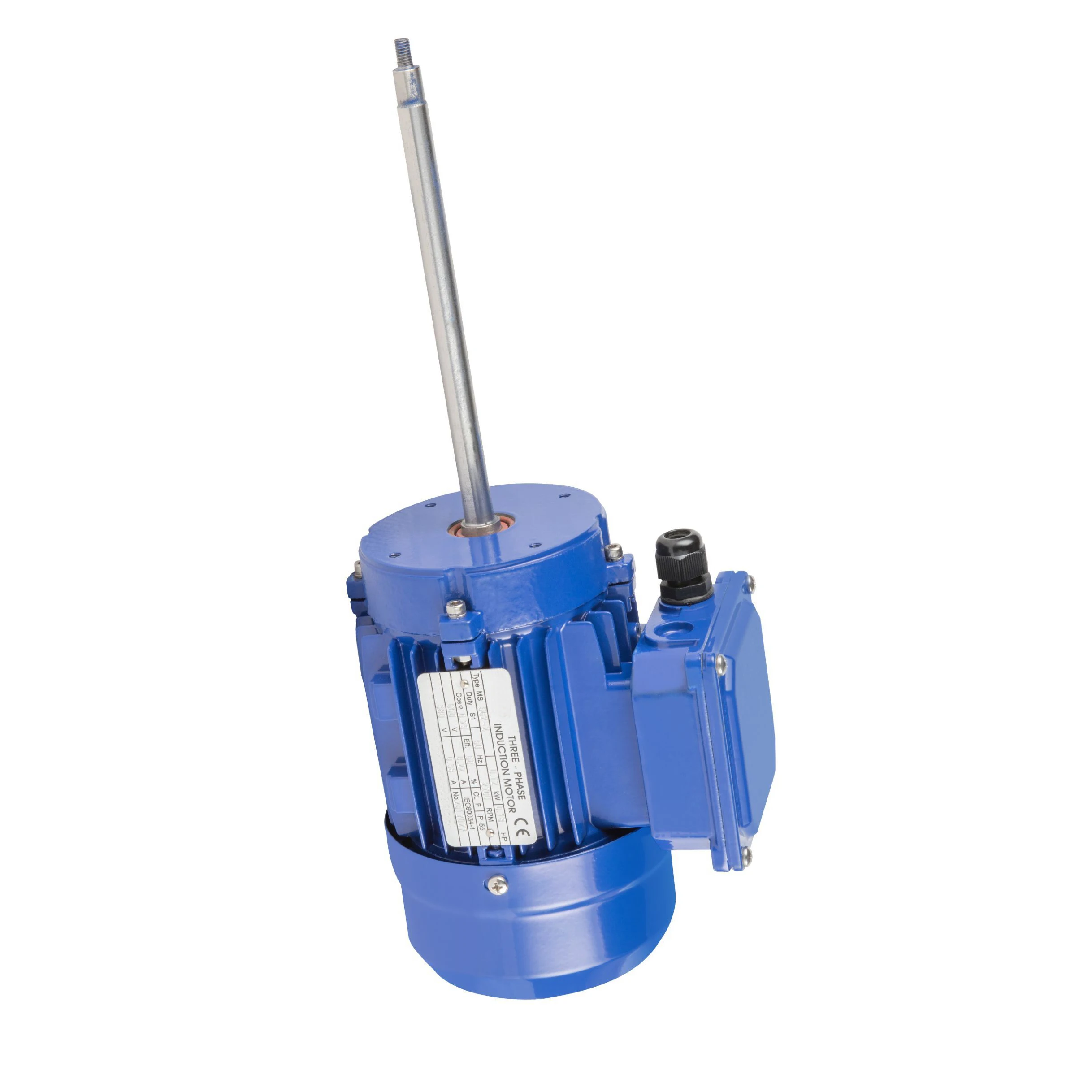 OEM Long Shaft Electric Motor