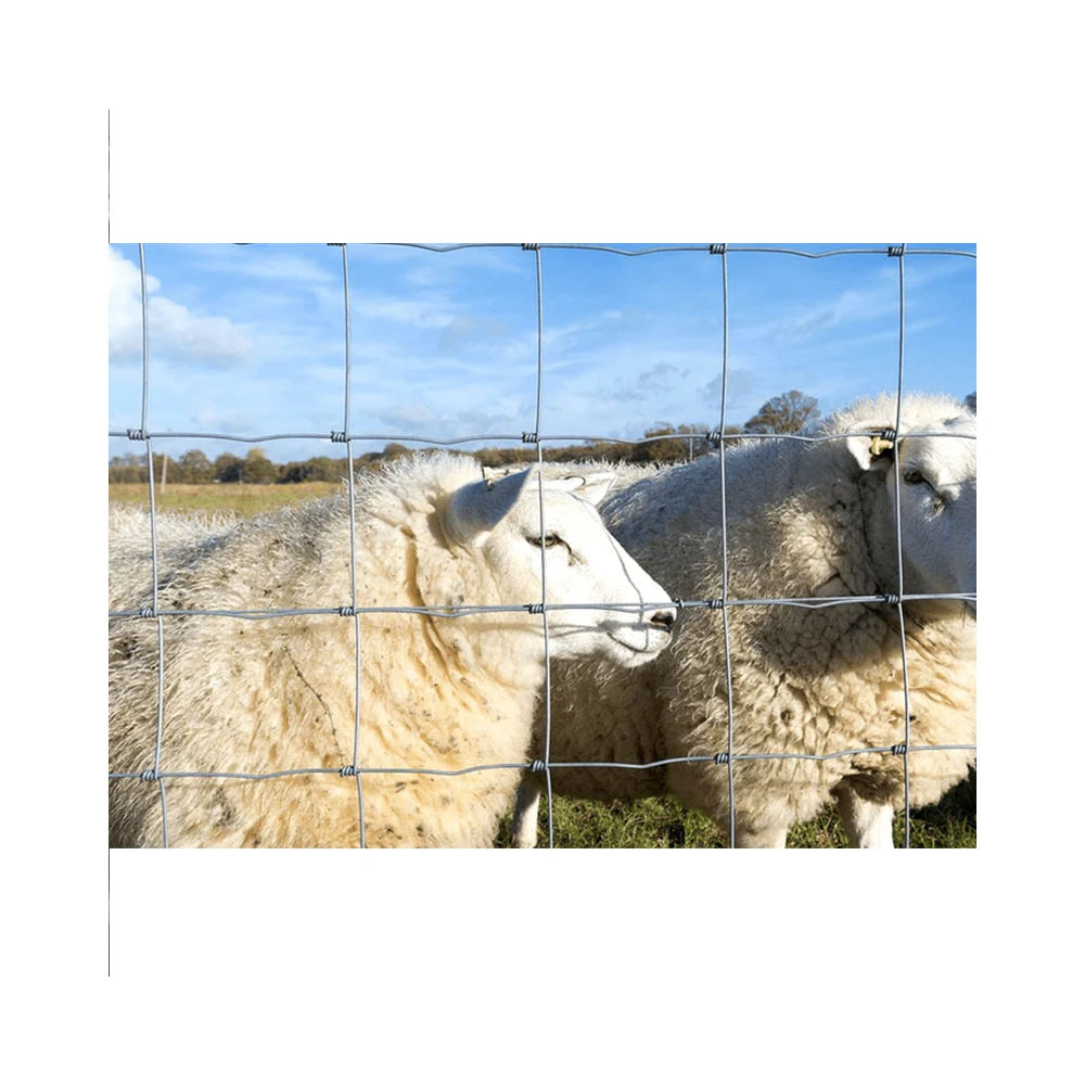BOCN Hot Sale Cattle Net Farm Fence Wire Mesh Fence On Farm